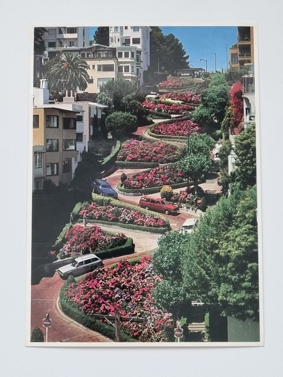Vykort - The crookedest street in the world. San Francisco, California