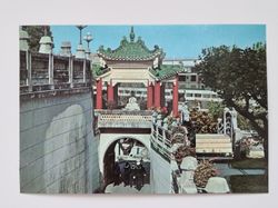 Vykort - View of Tiger Gardens