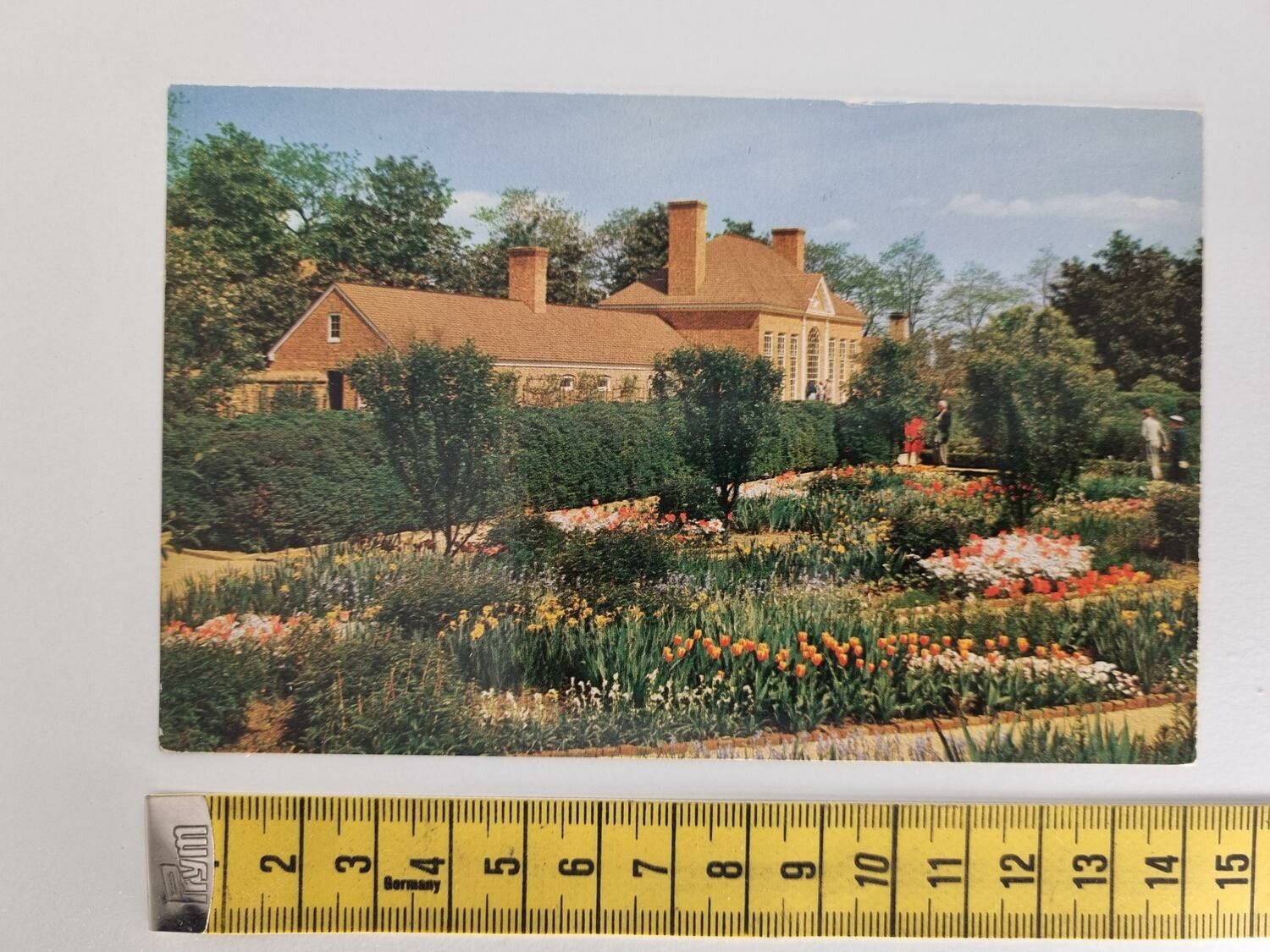 Vykort The Mount Vernon Flower Garden and Greenhouse