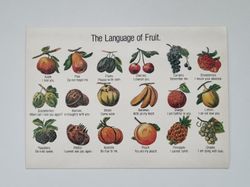 Vykort - The Language of Fruit