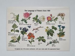 Vykort - The language of Flowers Anno 1900