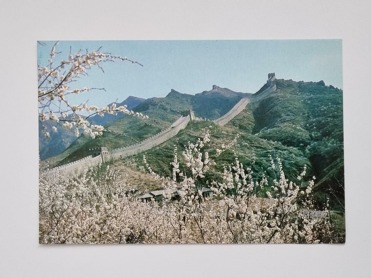 Vykort - Spring at the Great Wall