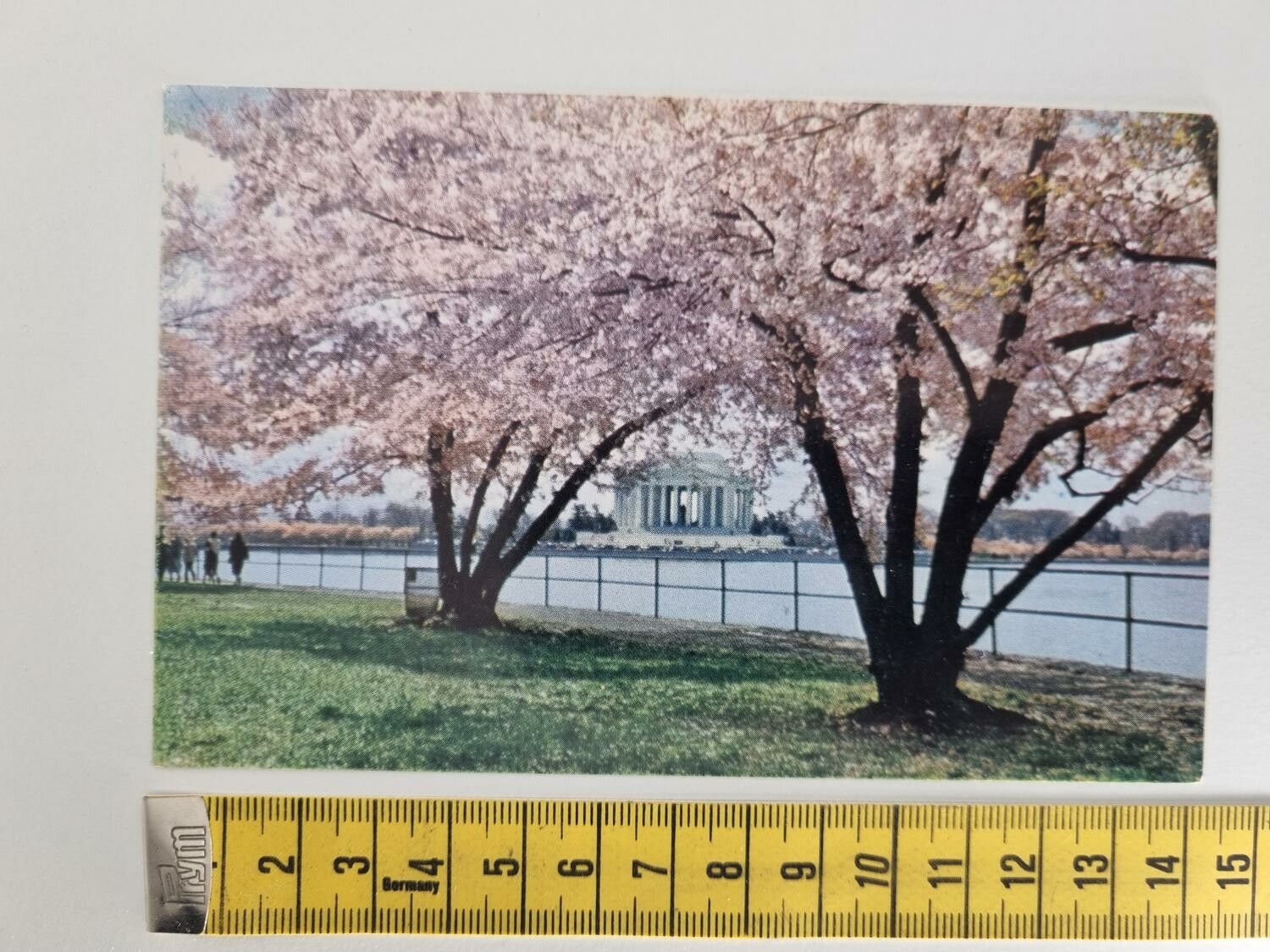 Vykort Jefferson Memorial