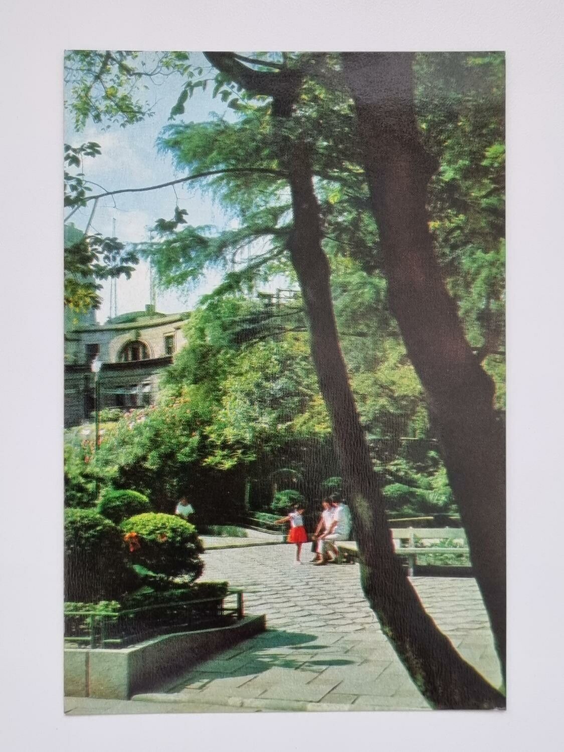 Vykort - Garden at the junction of crossroads
