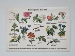 Vykort - Blumensprache Anno 1900