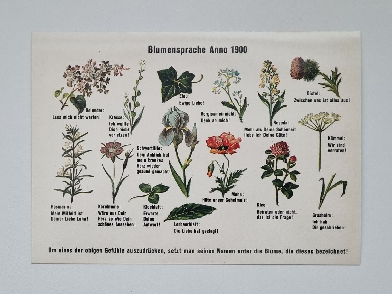 Vykort - Blumensprache Anno 1900