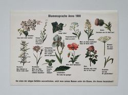 Vykort - Blumensprache Anno 1900