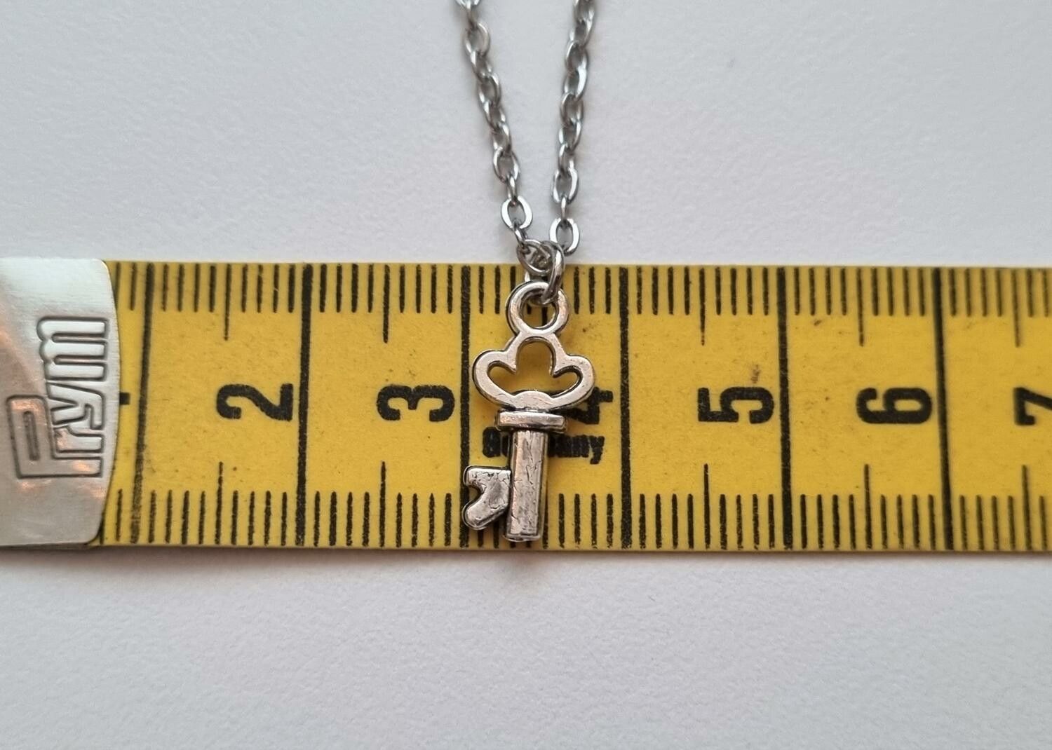Halsband (50 cm) i rostfritt stål med en liten nyckel