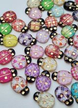 25 st nyckelpigor i resin, miniatyrer (blandade färger)