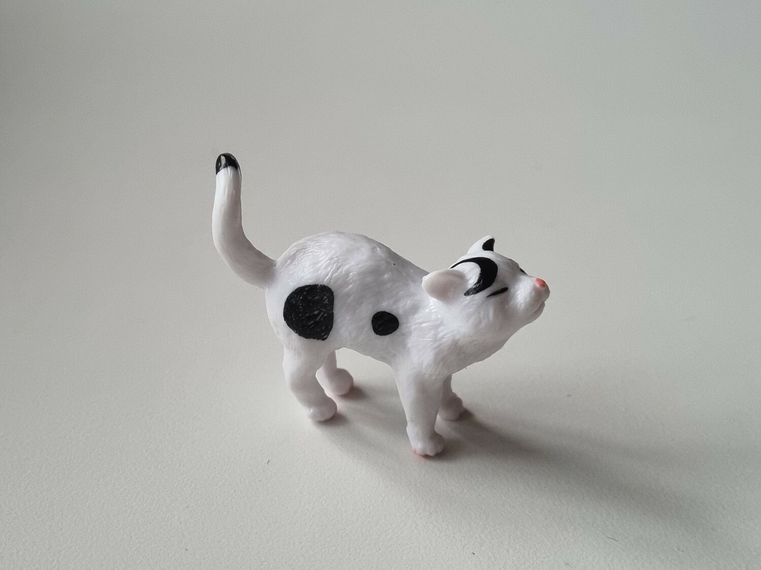 Söt svartvit katt / miniatyr