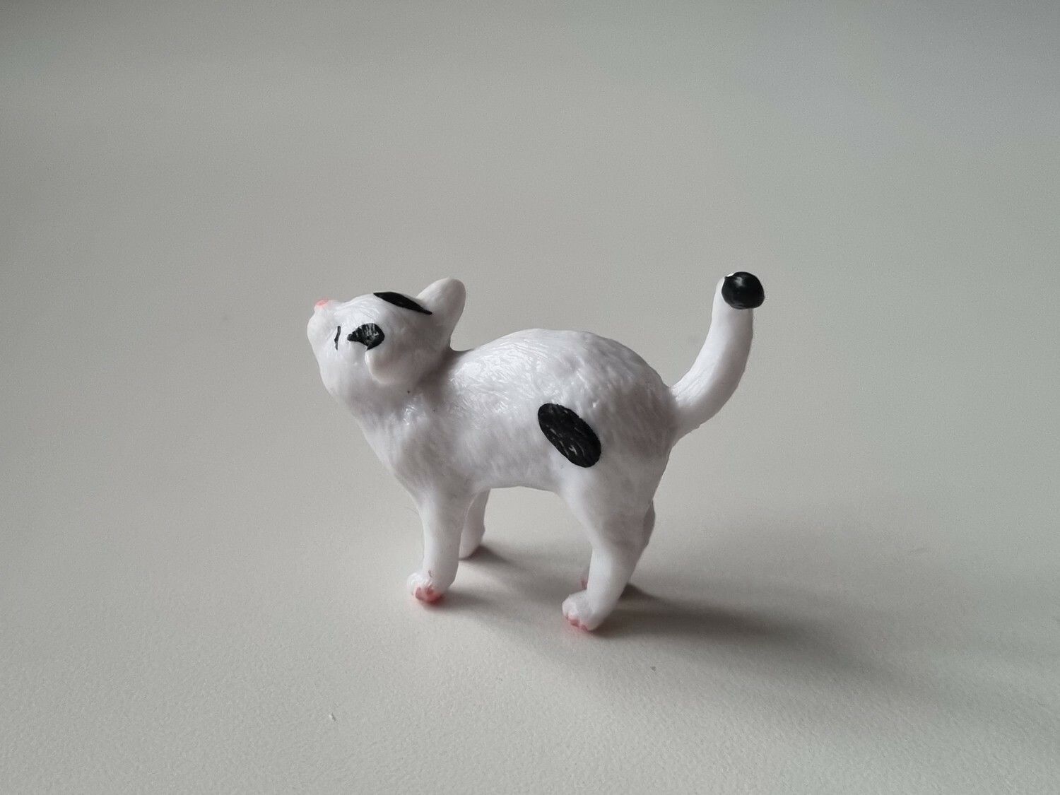 Söt svartvit katt / miniatyr