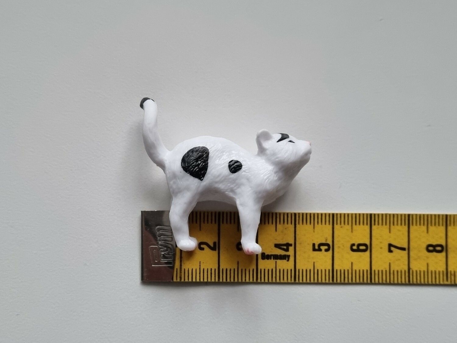 Söt svartvit katt / miniatyr