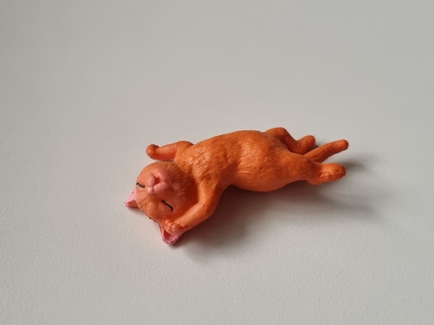 Orange katt som vilar