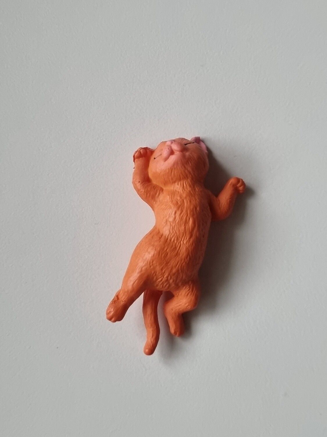 Orange katt som vilar