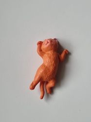 Orange katt som vilar