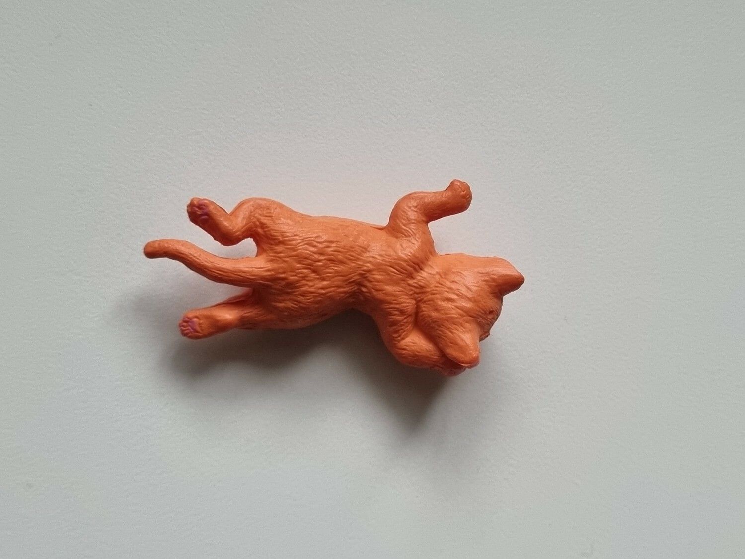 Orange katt som vilar