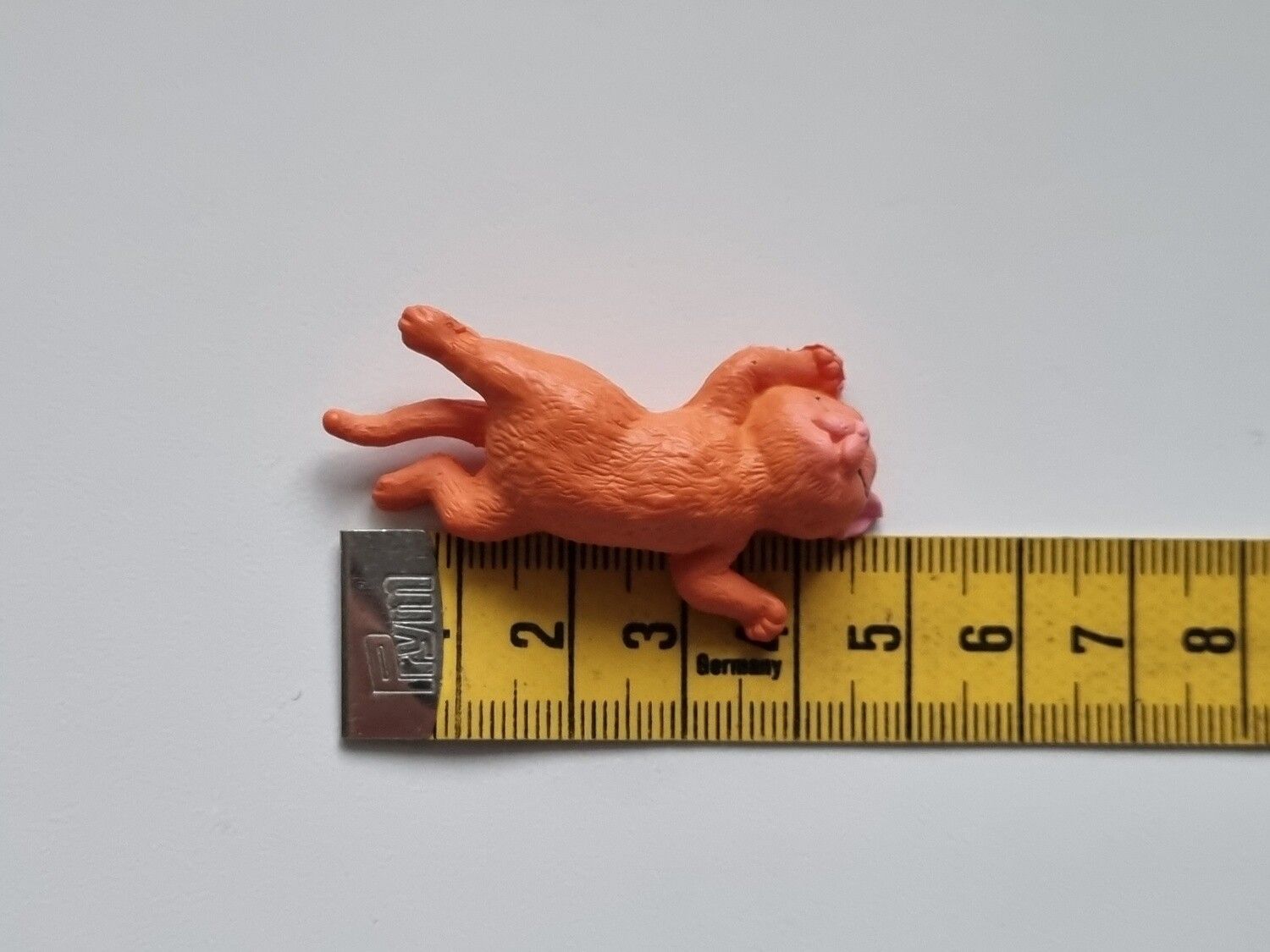Orange katt som vilar