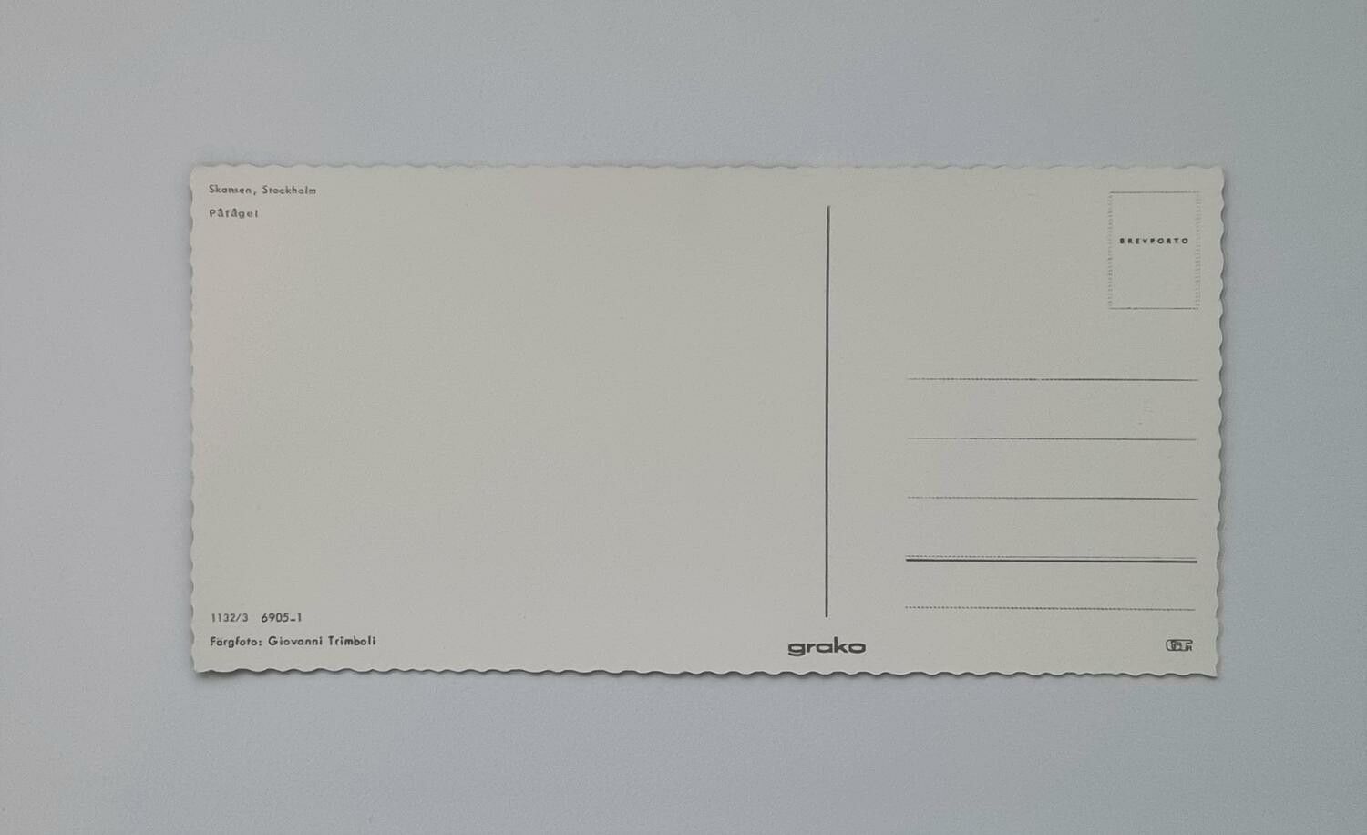 Stort vykort (20,7 x 10,2 cm) Påfågel, Skansen Stockholm