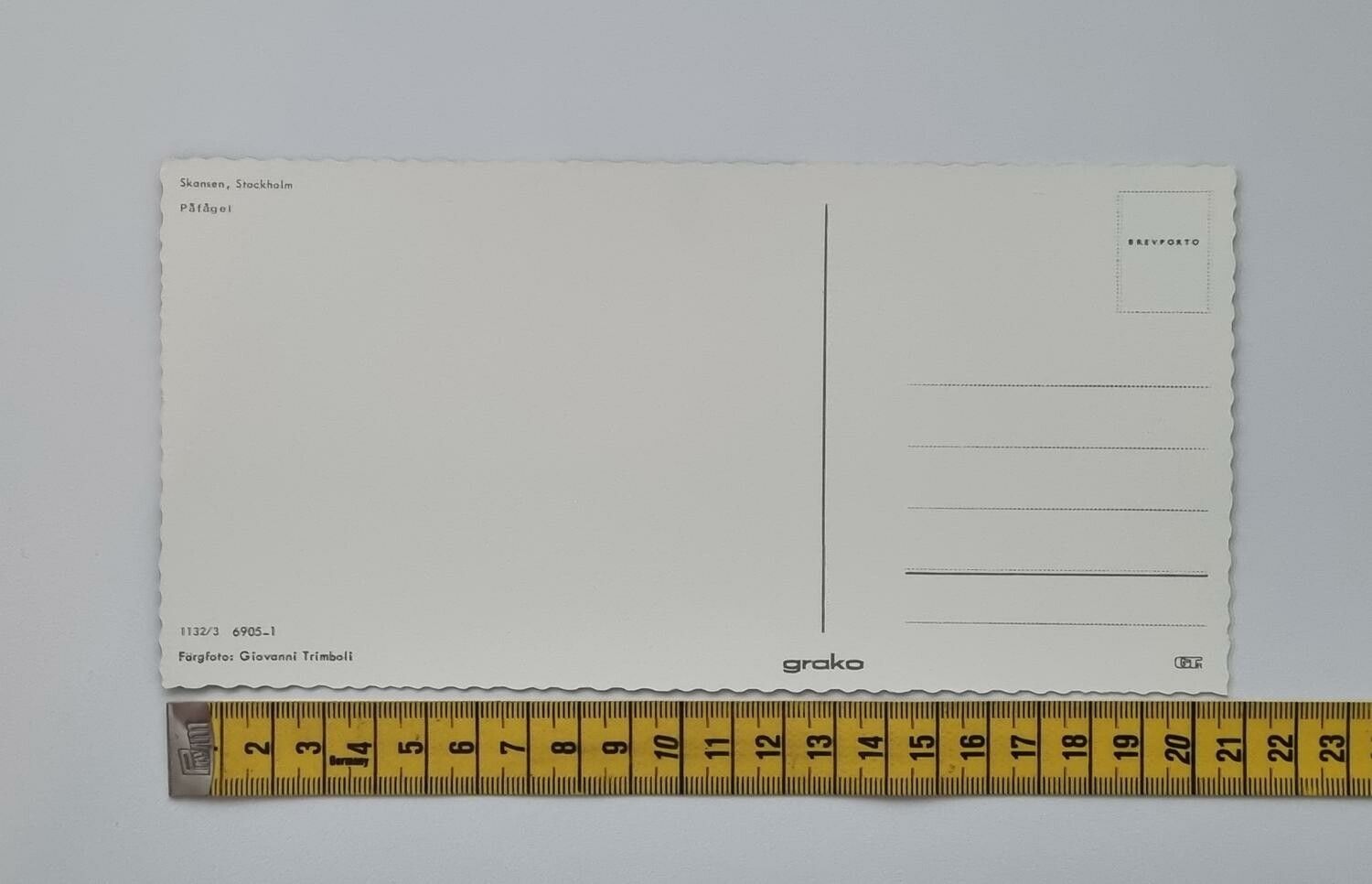 Stort vykort (20,7 x 10,2 cm) Påfågel, Skansen Stockholm