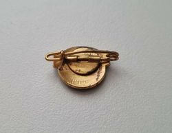 TIF. Pin / nålmärke