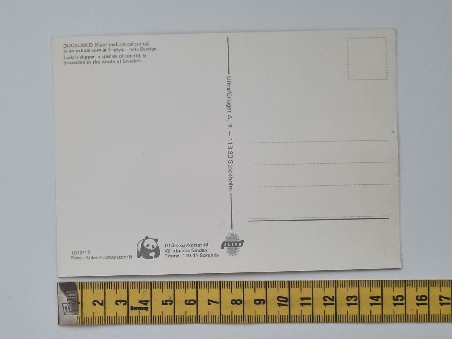 Vykort - Guckusko (Cypropendium calcaolus)