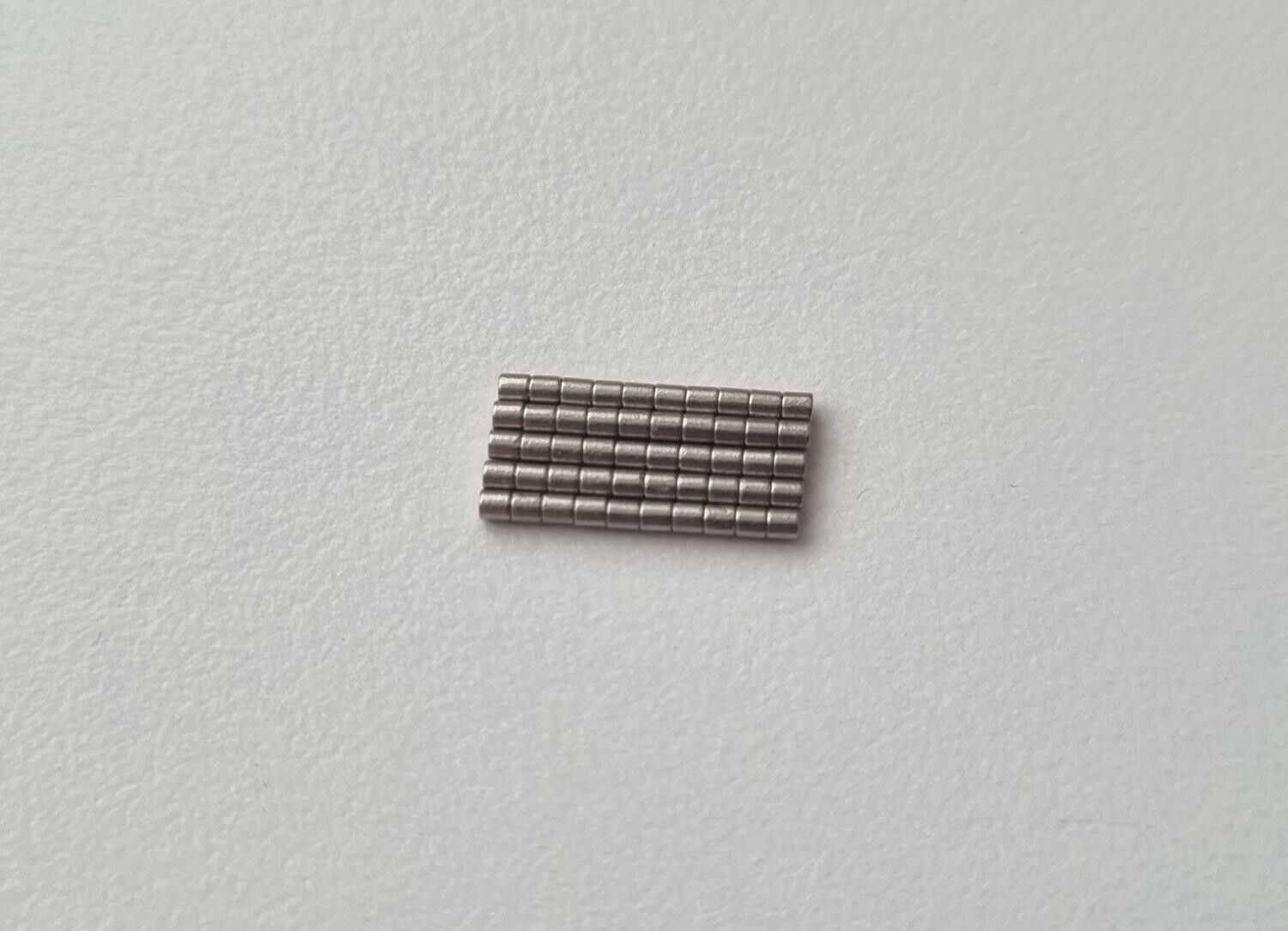 50 st Neodymium magneter (1x1 mm) runda magneter