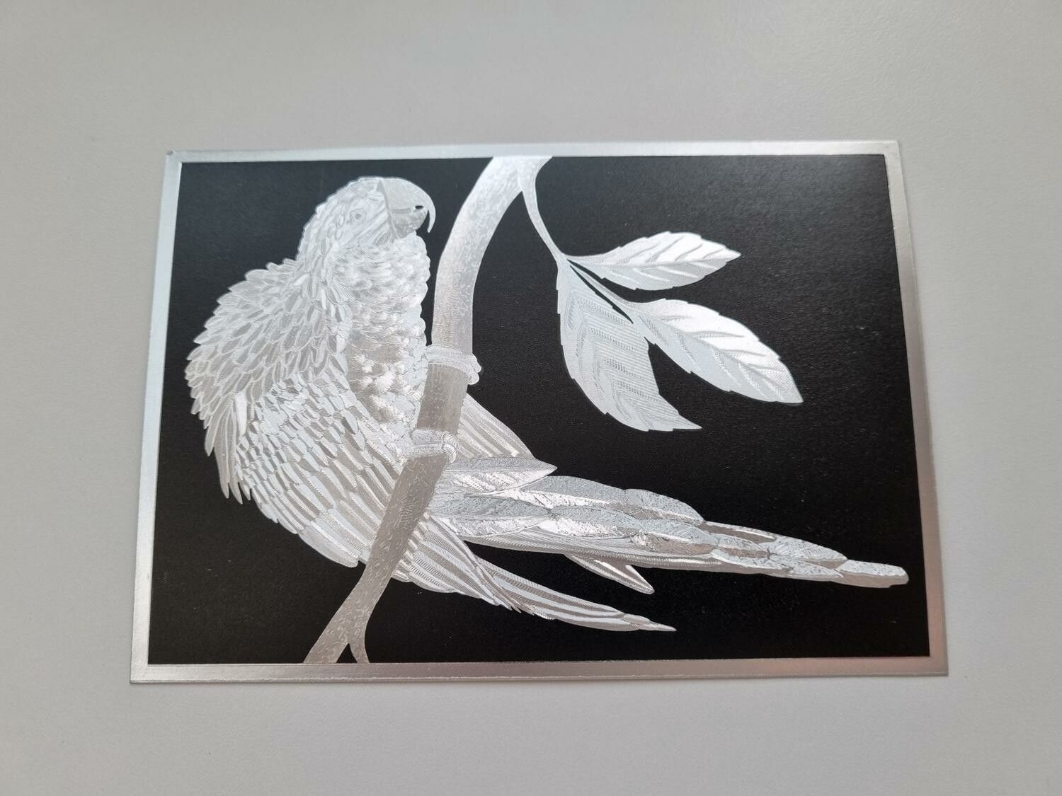Vykort - Macaw (ara ararauna)