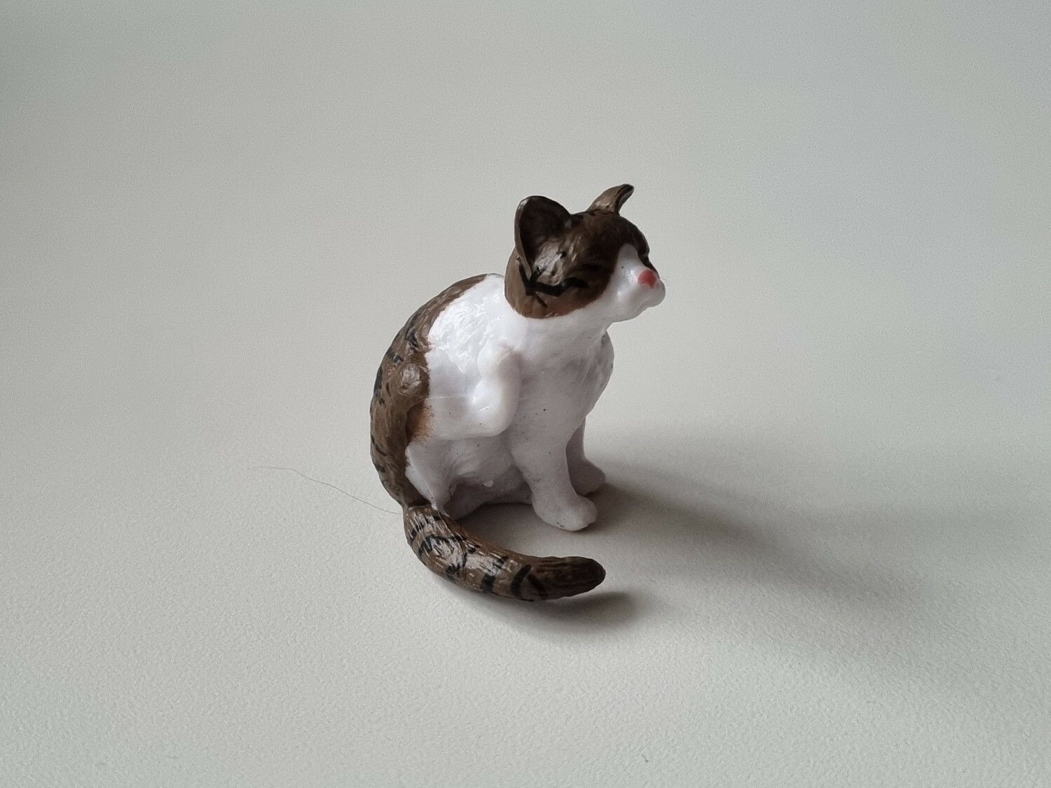 Katt som kliar sig / miniatyr