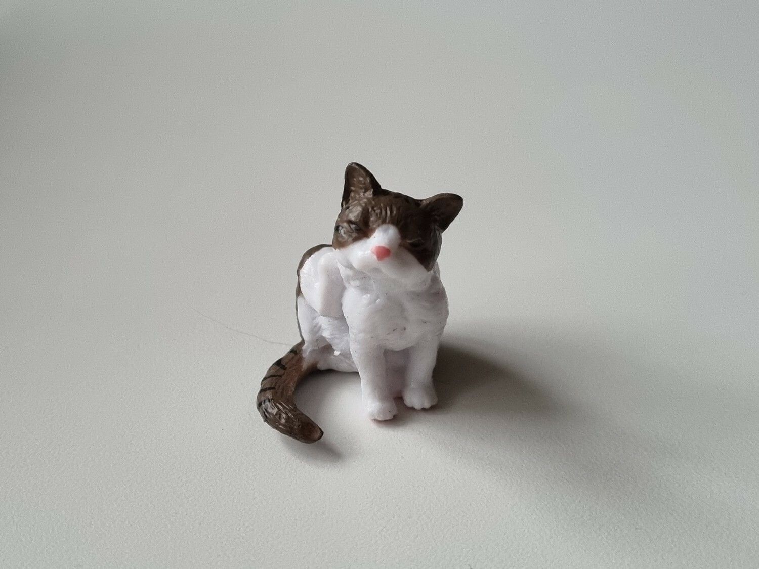 Katt som kliar sig / miniatyr