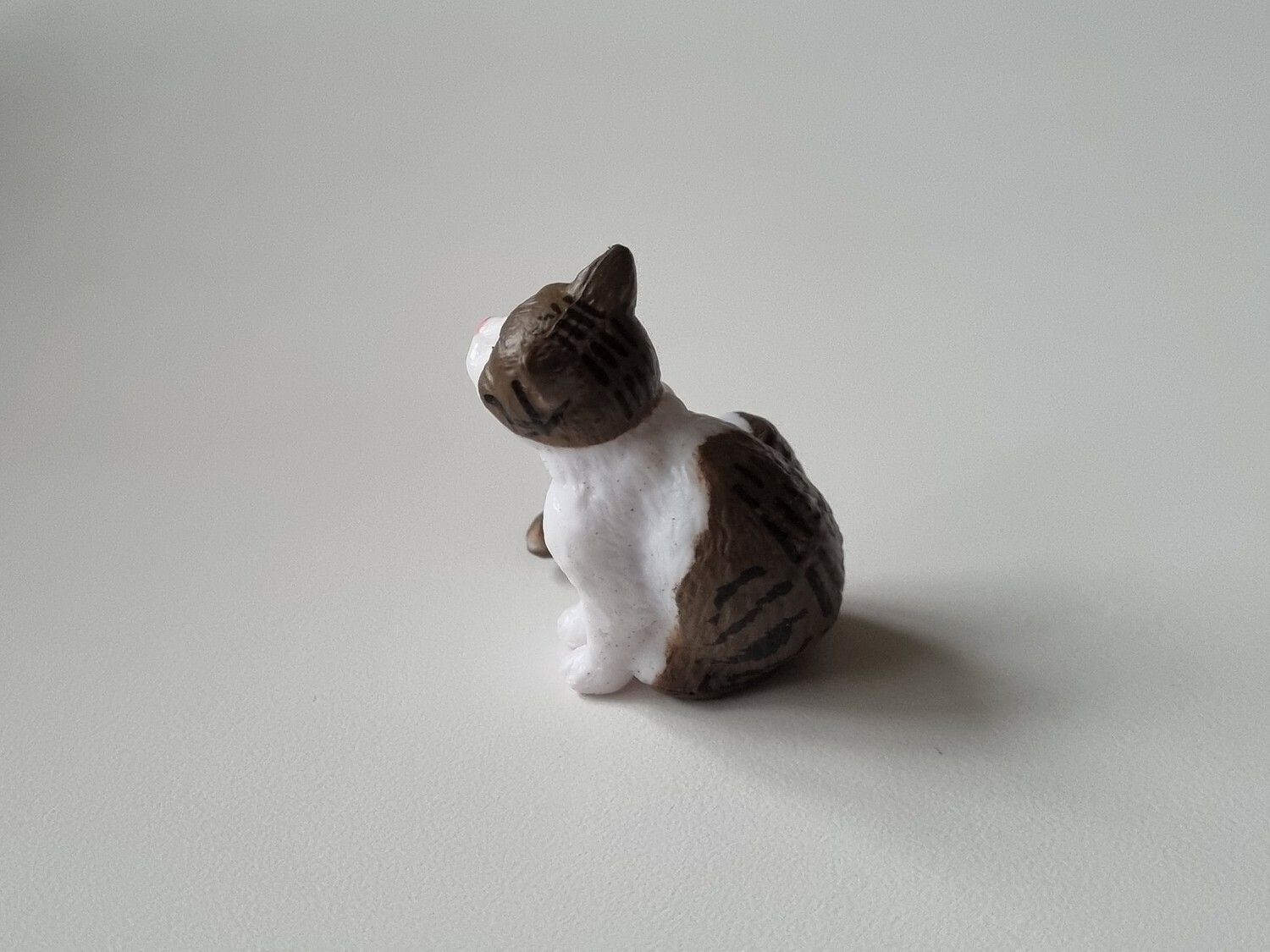 Katt som kliar sig / miniatyr