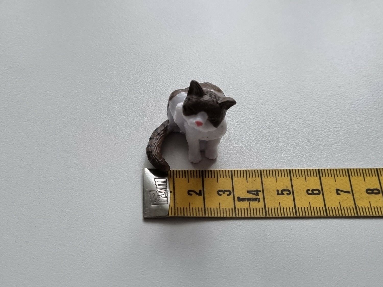 Katt som kliar sig / miniatyr
