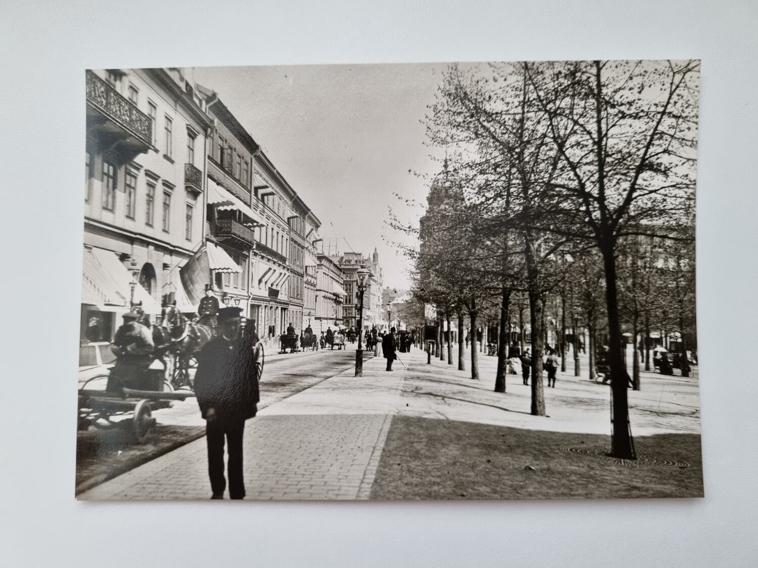 Vykort - Hamngatan vid Kungsträdgården 1900