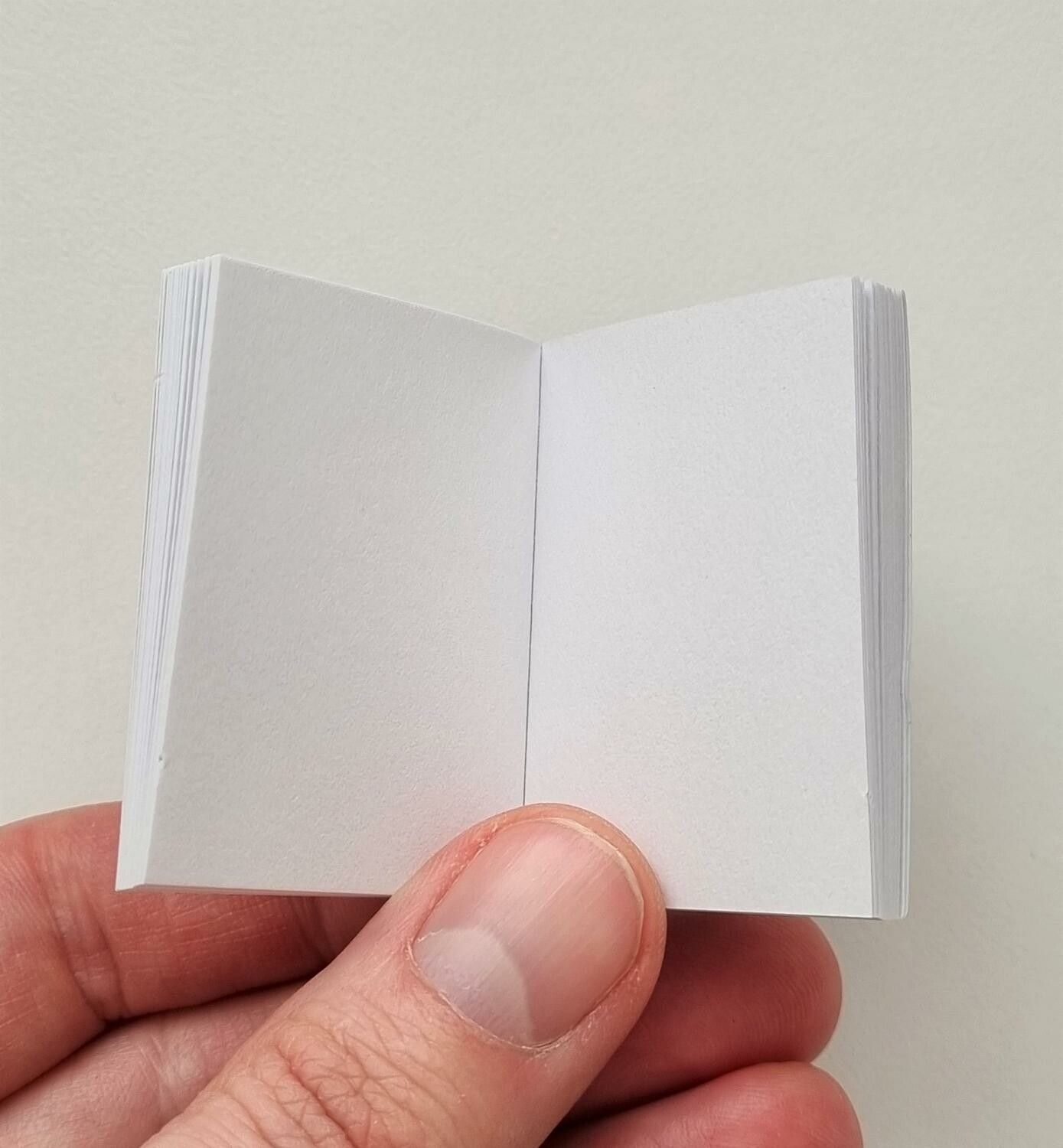 1 st Miniatyrbok, minibok för tittskåp / dockskåp med mera (bok 15)