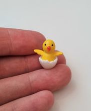 Kyckling, minikyckling, miniatyrkyckling i äggskal