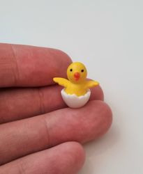 Kyckling, minikyckling, miniatyrkyckling i äggskal