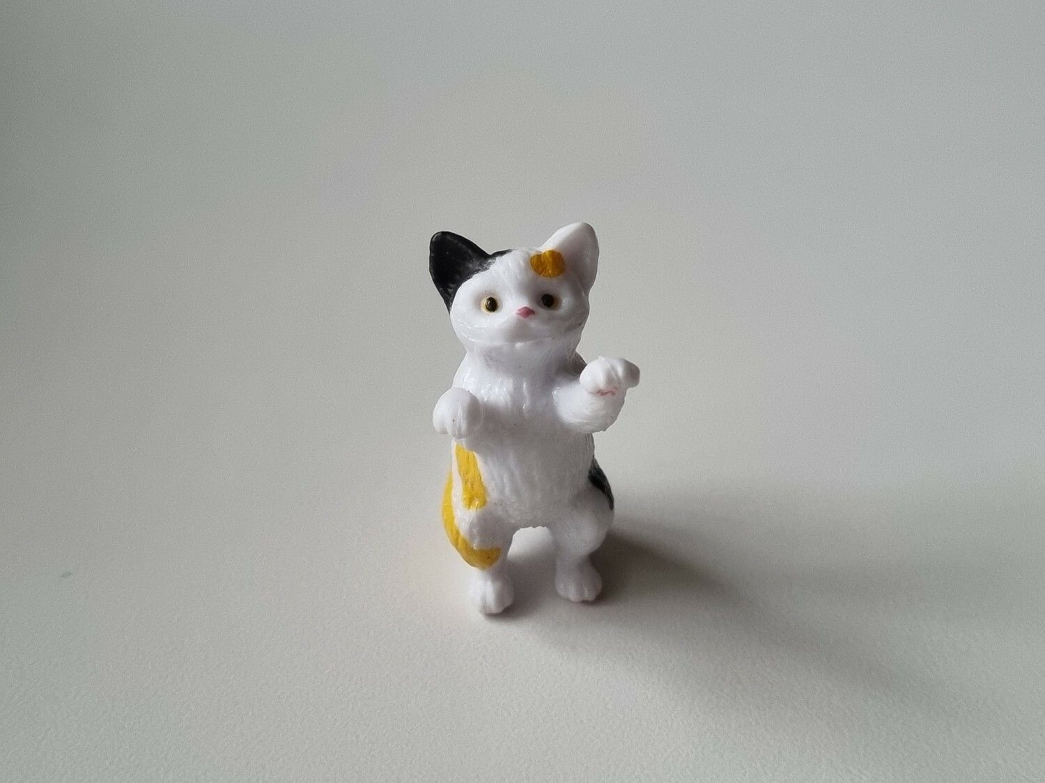 Gullig katt som står på sina tassar / miniatyr
