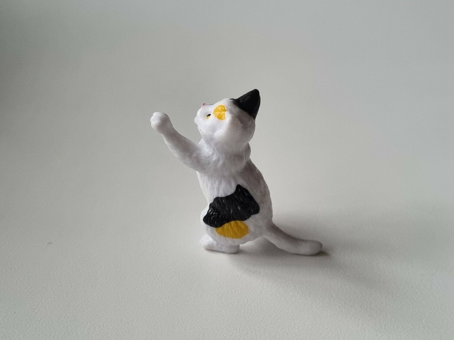 Gullig katt som står på sina tassar / miniatyr