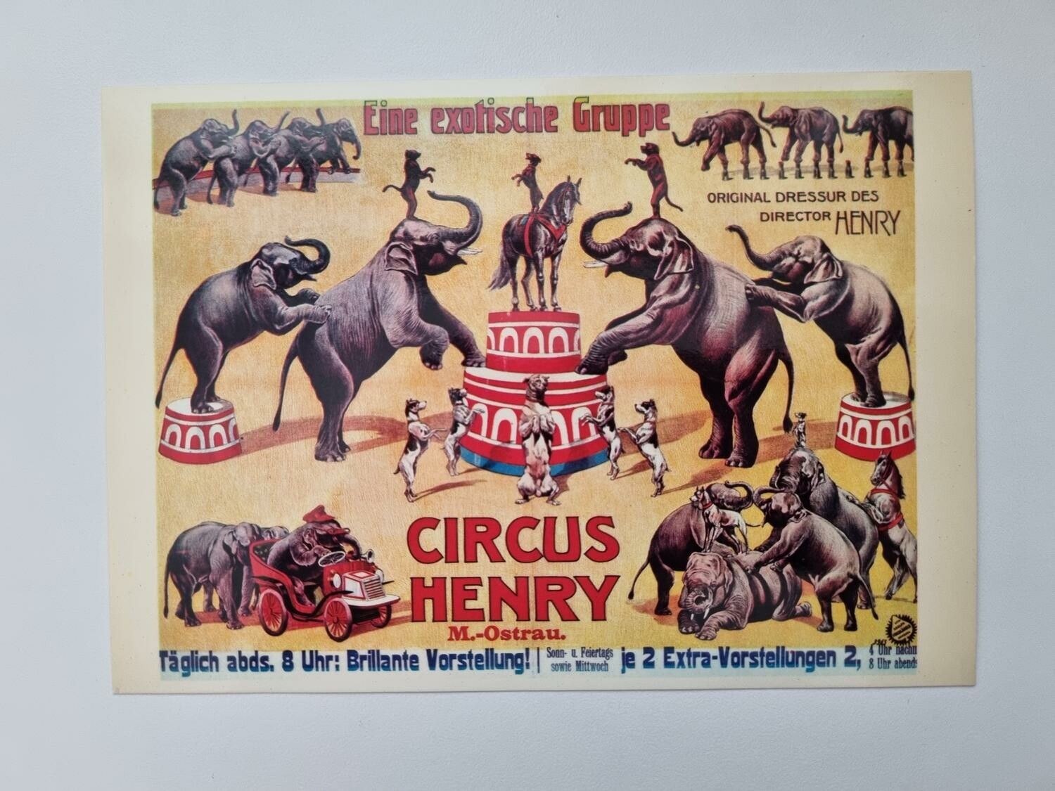 Vykort - Circus Henry M.-Ostrau.