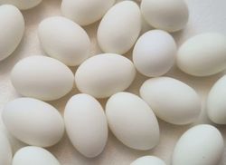 5 st små vita ägg, miniägg, miniatyrägg för dockskåp / tittskåp