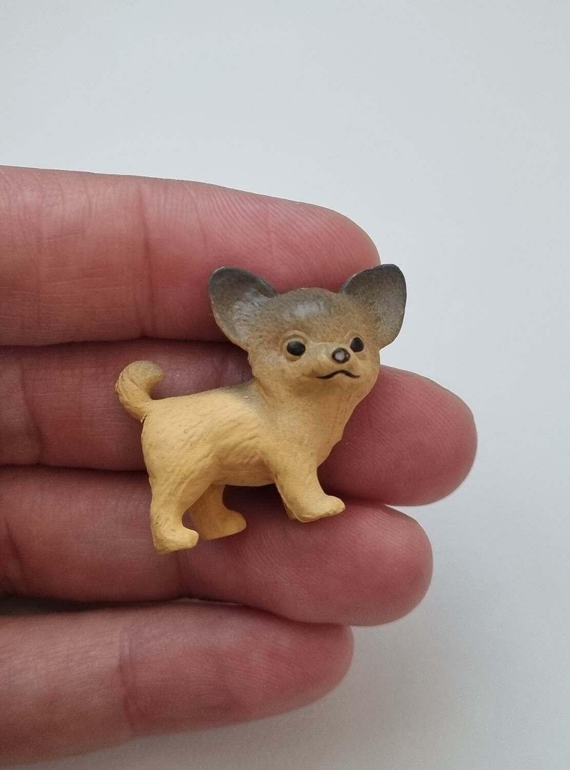 Hund miniatyr, miniatyrhund, minihund (variant 8)