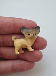 Hund miniatyr, miniatyrhund, minihund (variant 8)