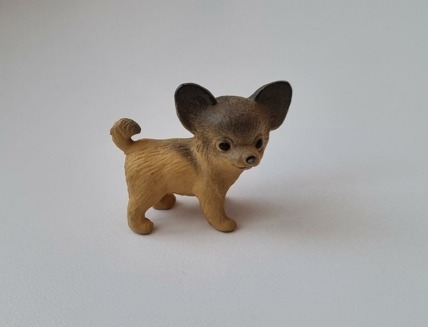 Hund miniatyr, miniatyrhund, minihund (variant 8)