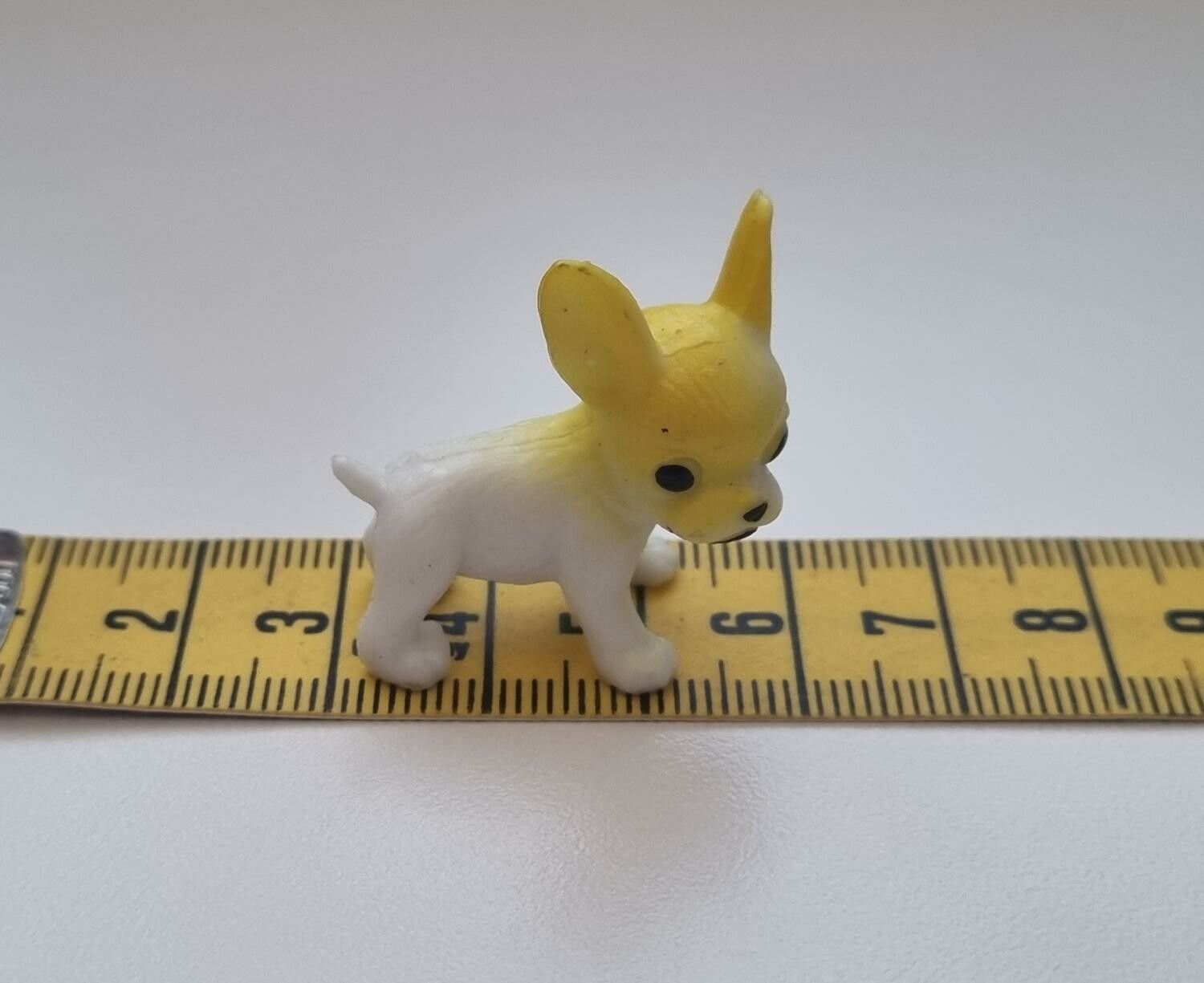 Hund miniatyr, miniatyrhund, minihund (variant 2)