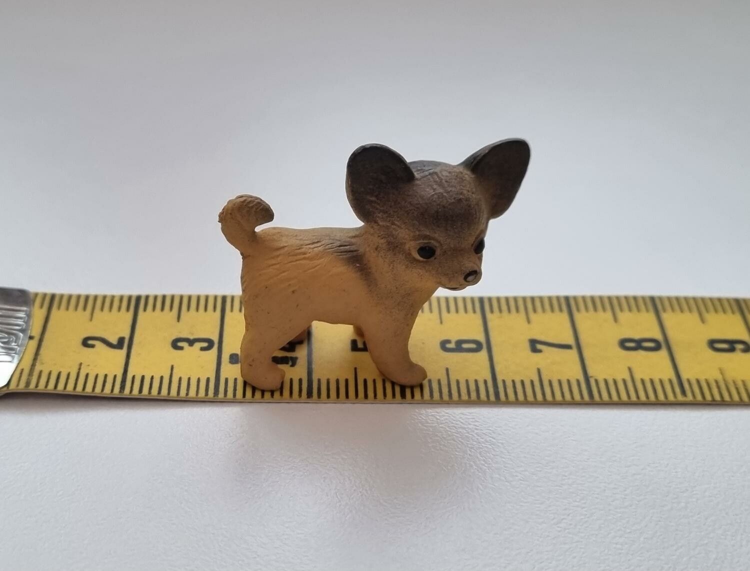 Hund miniatyr, miniatyrhund, minihund (variant 8)