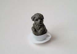 Hund miniatyr, miniatyrhund, minihund (variant 1)