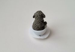 Hund miniatyr, miniatyrhund, minihund (variant 1)