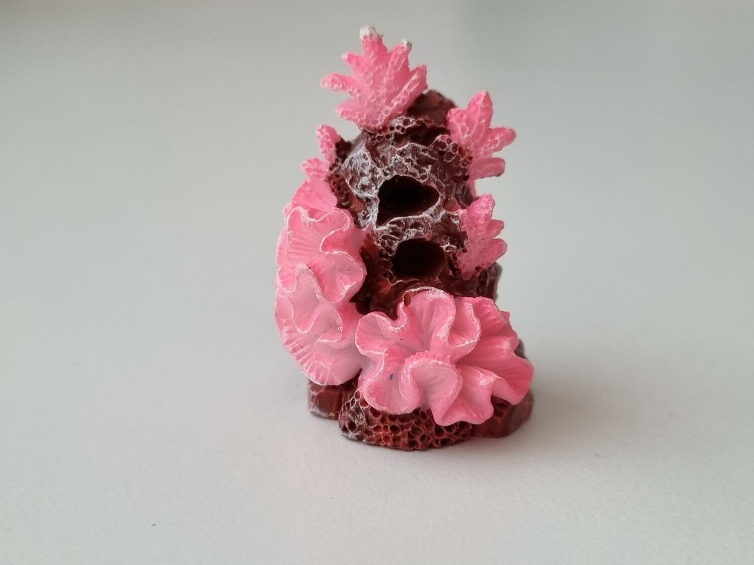 Miniatyr, rosa liten korall / korallbit