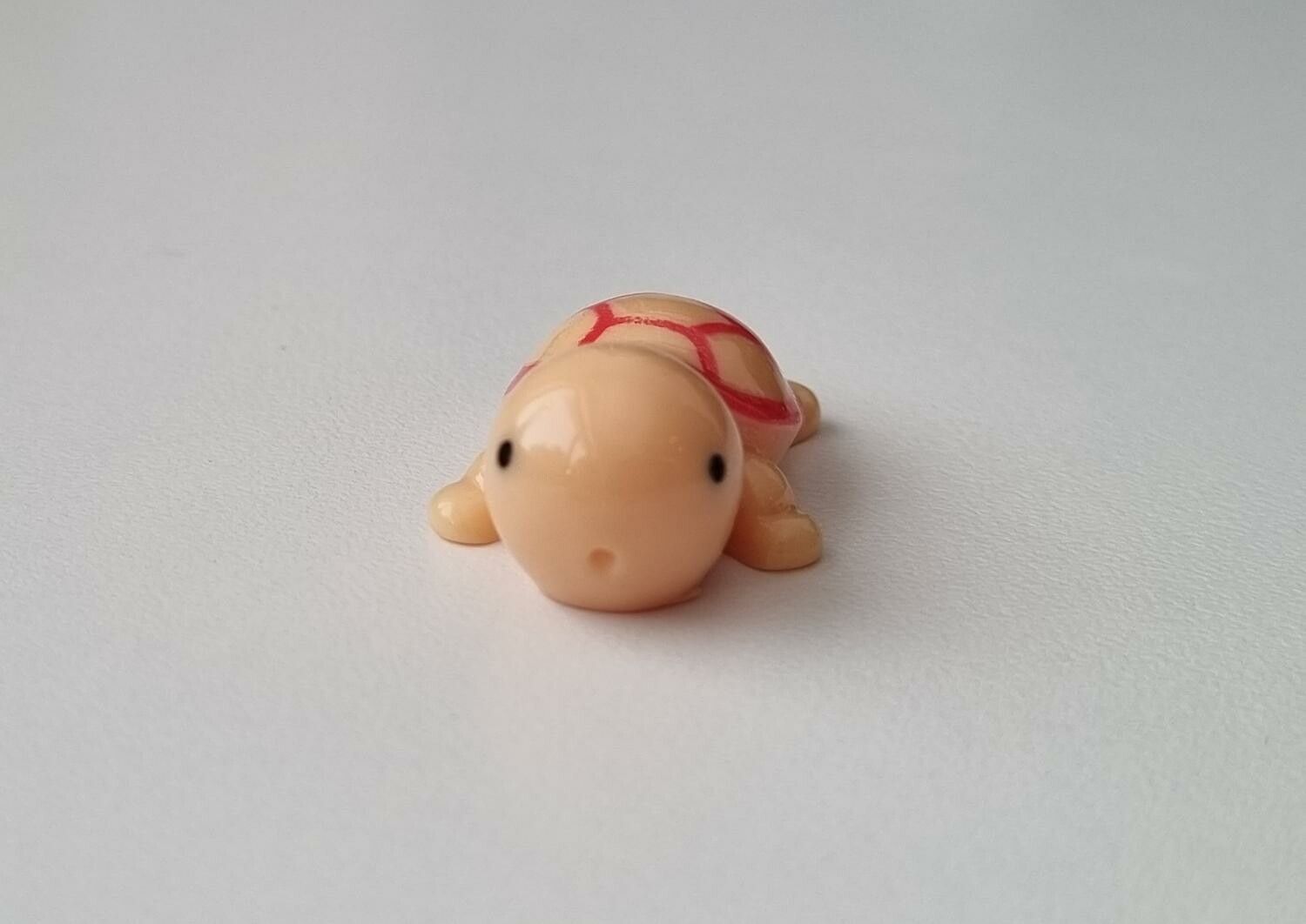 Sköldpadda, minisköldpadda / miniatyr