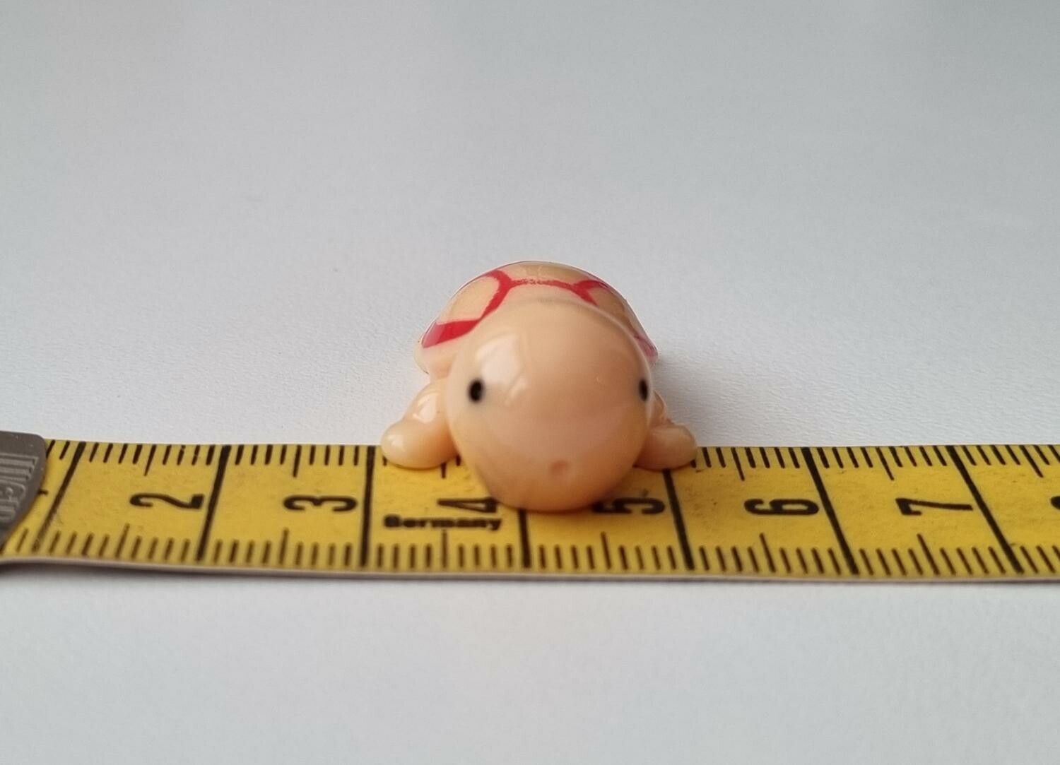 Sköldpadda, minisköldpadda / miniatyr