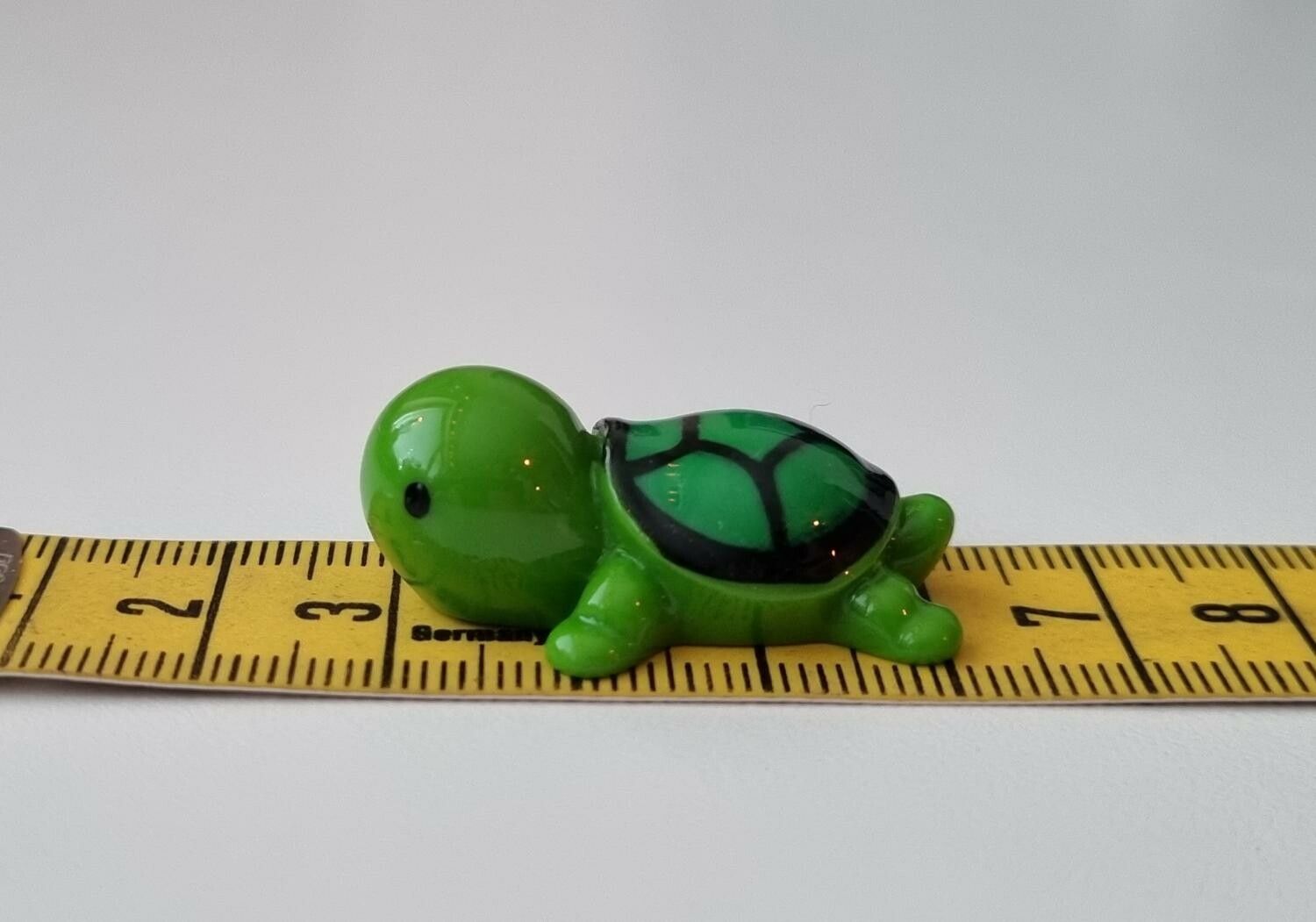 Mörkgrön sköldpadda, minisköldpadda / miniatyr
